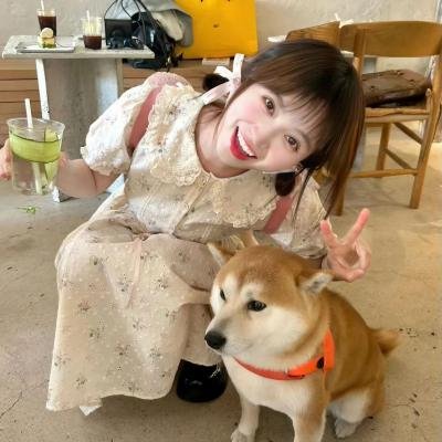 2024重阳奇妙游 在线观看